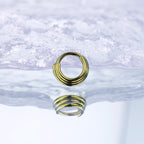 Three Row Triple Segment Septum Ring