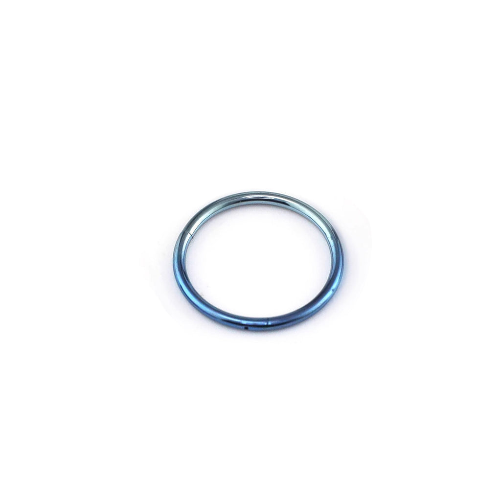 20G Thin Classic Titanium segment Hoop