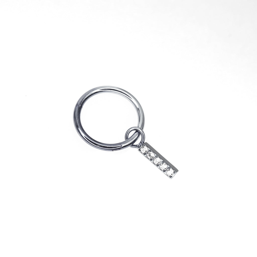Titanium Segment Hoop with Baguette CZ