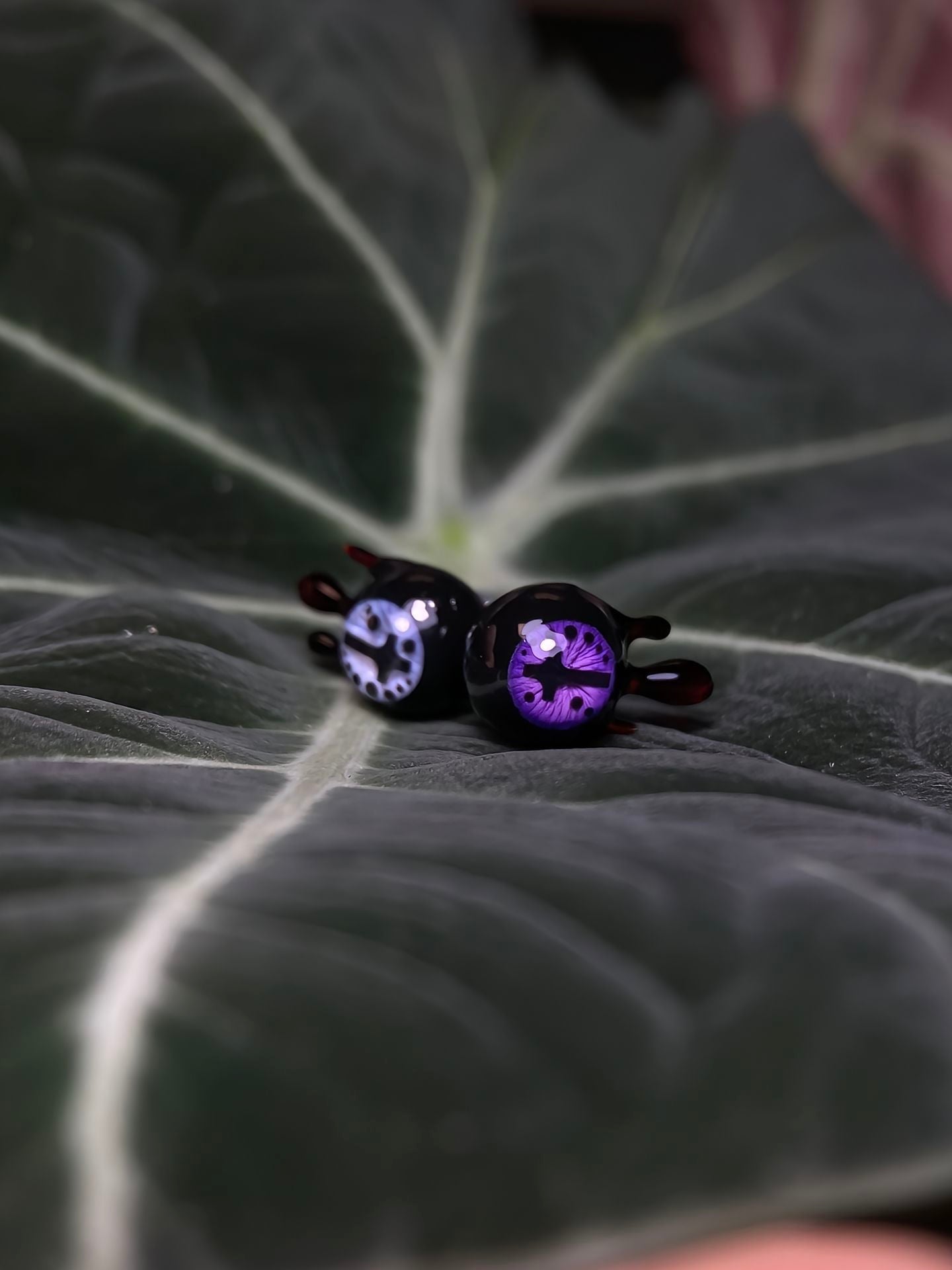 Cthulhu Eye Titanium Tongue Studs - Mystery Box Collection
