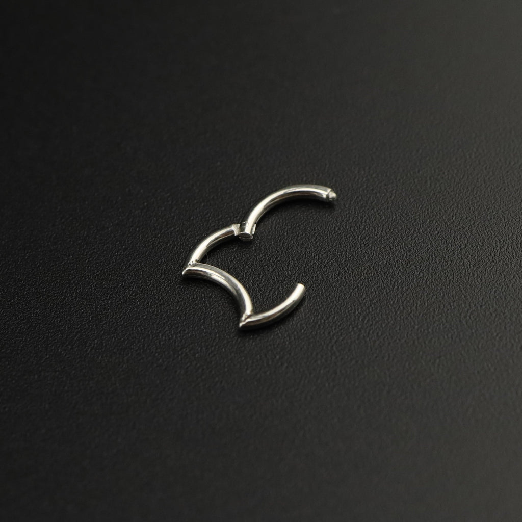 Moon stainless steel Segment Hoop