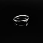 Four-Point Star stainless steel Segment Hoop