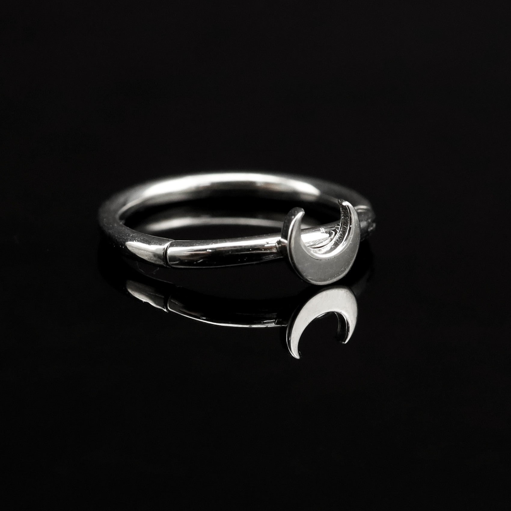 Moon Stainless Steel Segment Hoop