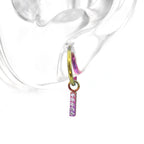 Titanium Segment Hoop with Baguette CZ