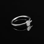 Middle Finger Stainless Steel Segment Hoop