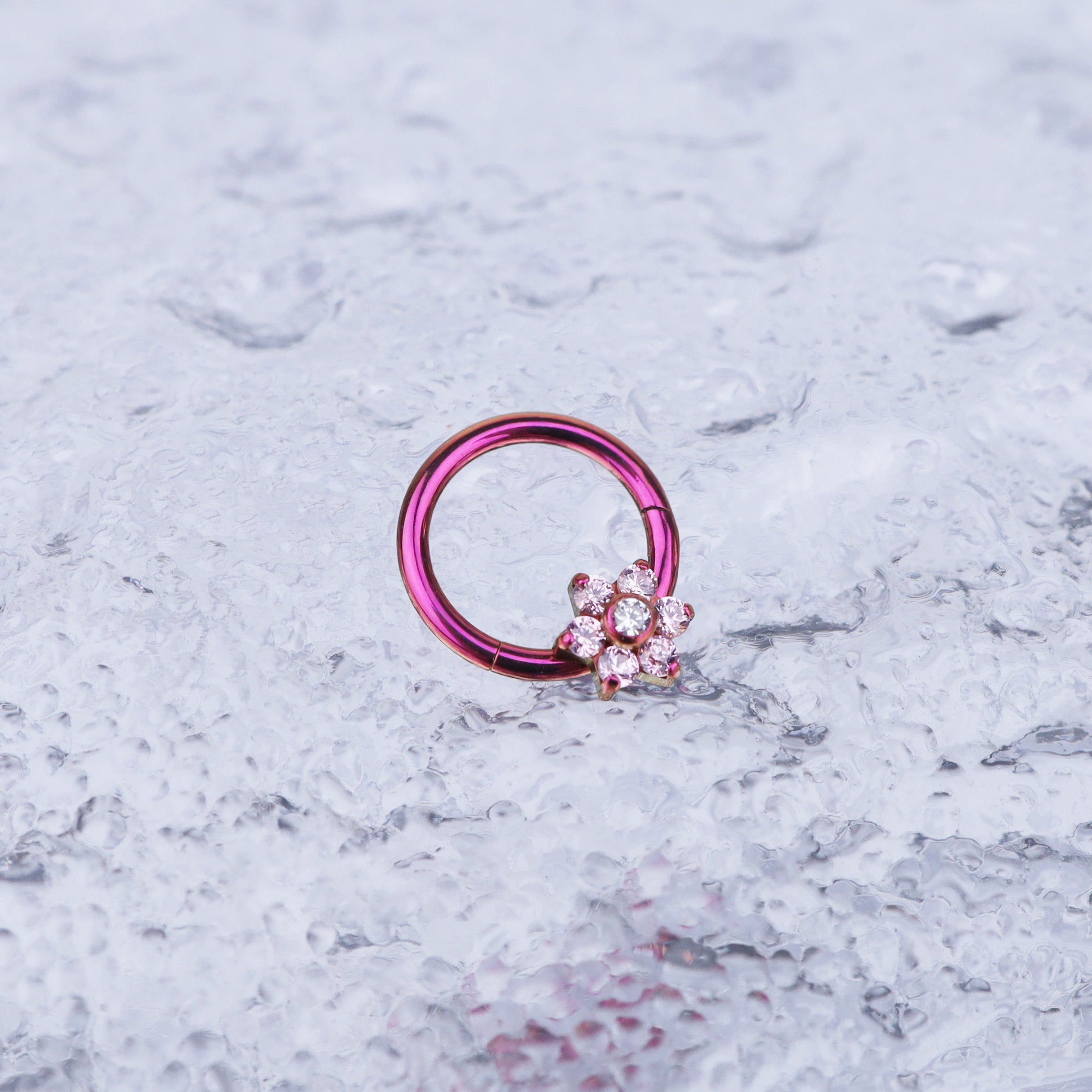 Floral CZ Titanium Segment Hoop