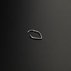 Teardrop stainless steel Segment Hoop