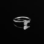 Middle Finger Stainless Steel Segment Hoop