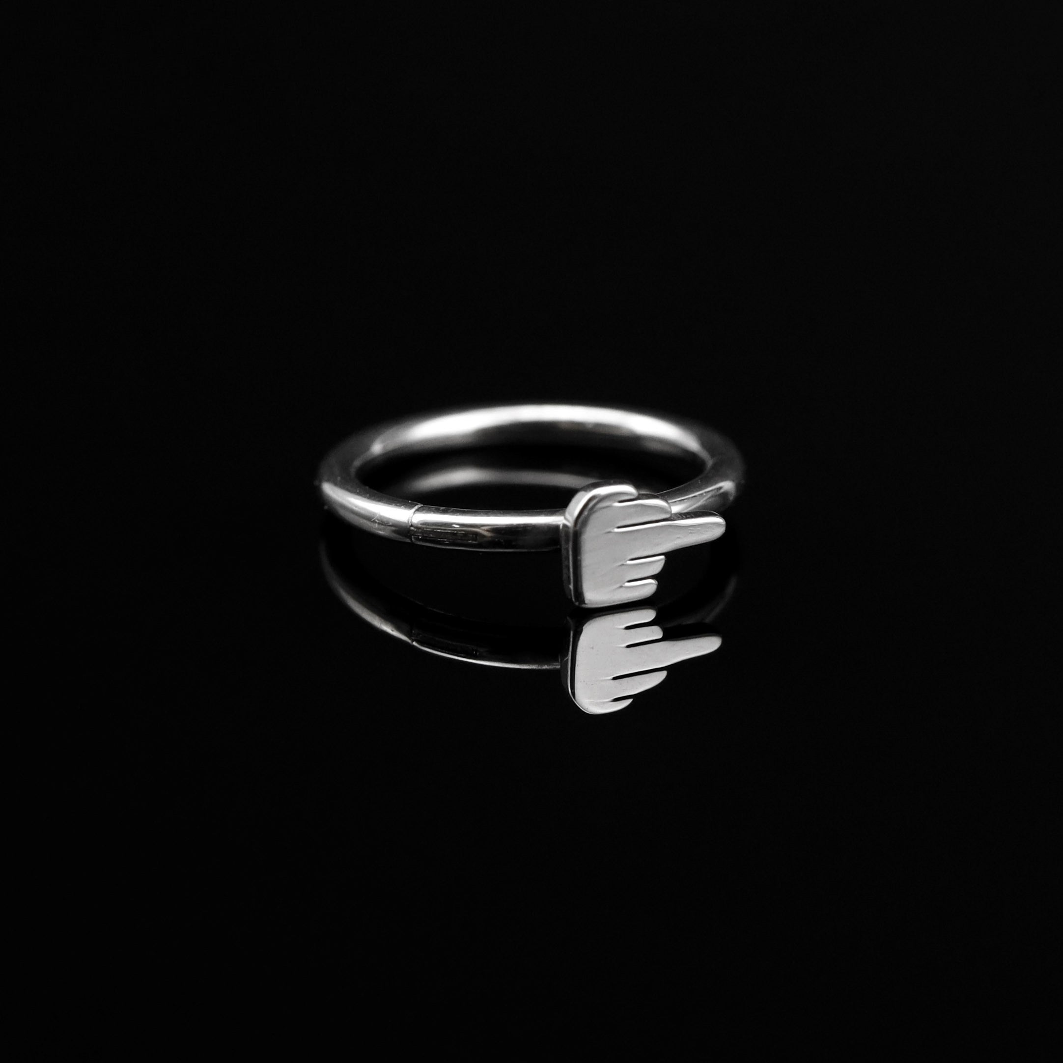 Middle Finger Stainless Steel Segment Hoop