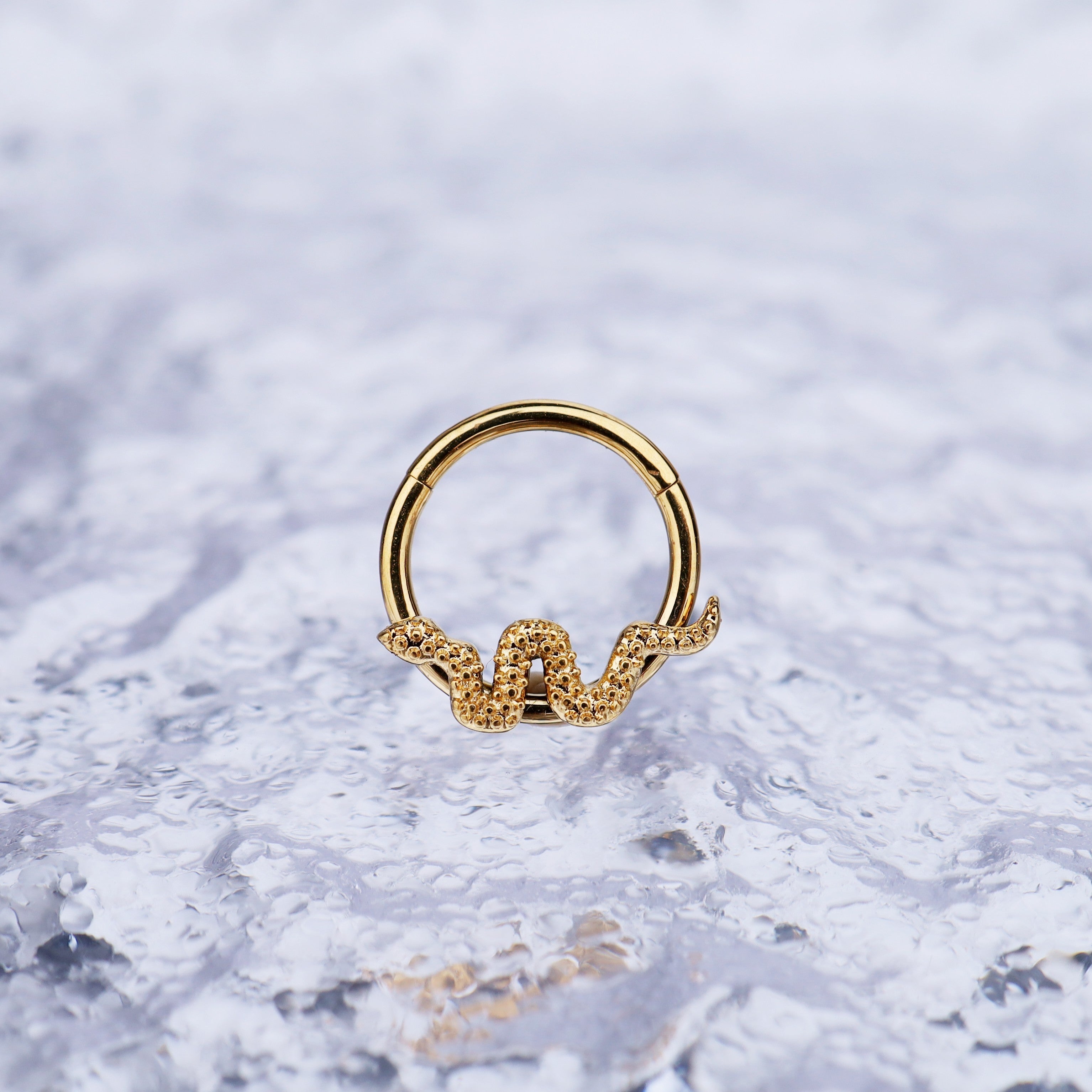 Engraved Serpent stainless steel Segment Ring