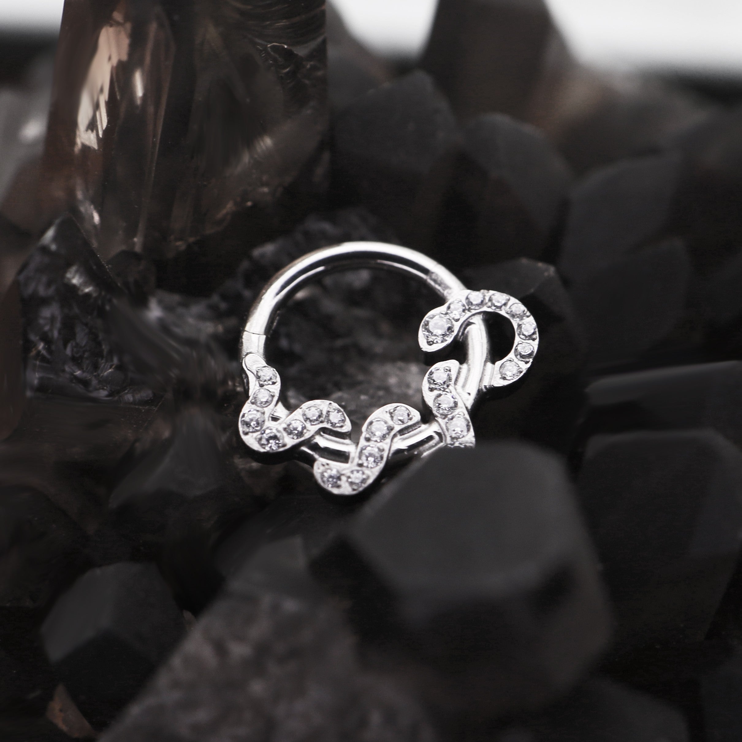 Twisting Serpent CZ Titanium Segment Hoop