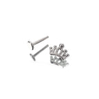 Crown Internally Threaded Stainless Steel Ear Studs