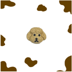 Paws & Purrs - Resin White Puppy Stainless Steel Ear Studs