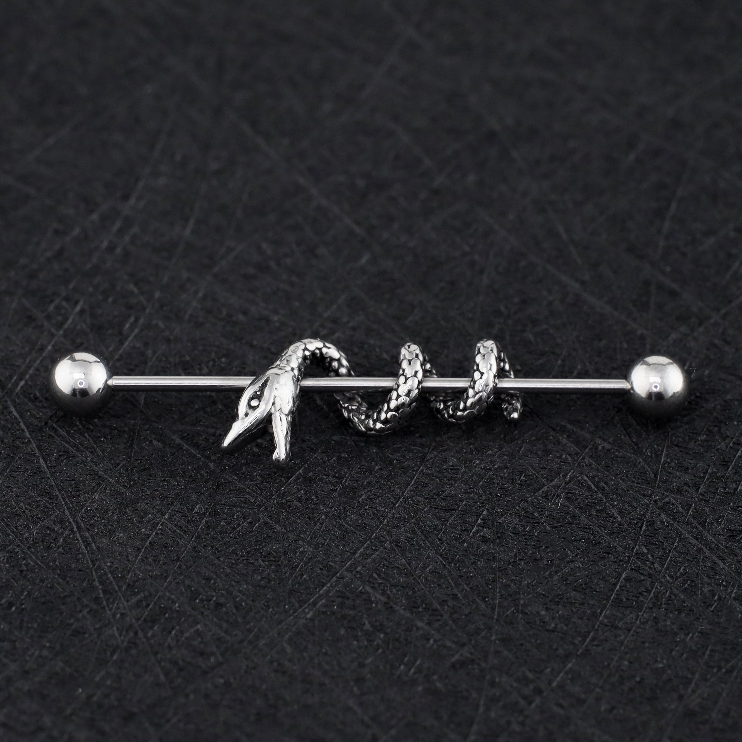 Engraved Coiled Serpent Stainless Steel Industrial Barbell