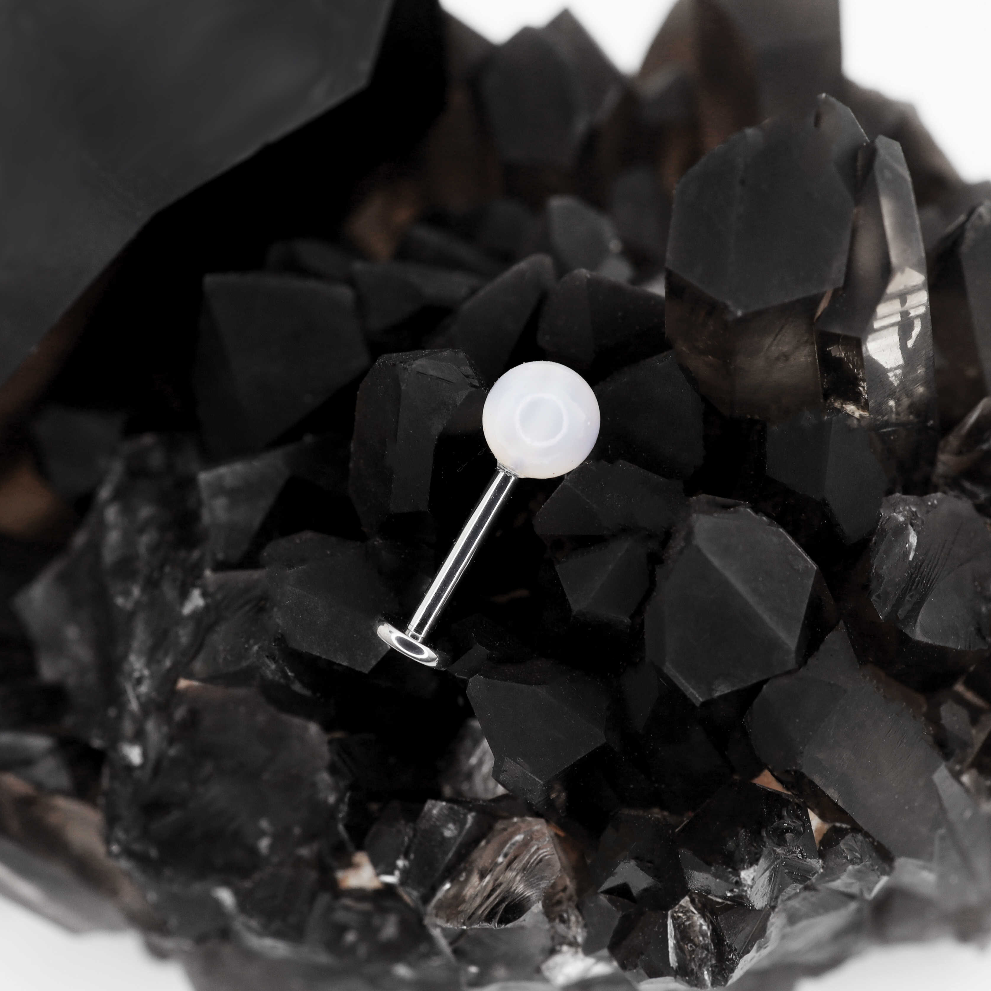 Pearl Internally Threaded Titanium Ear Studs