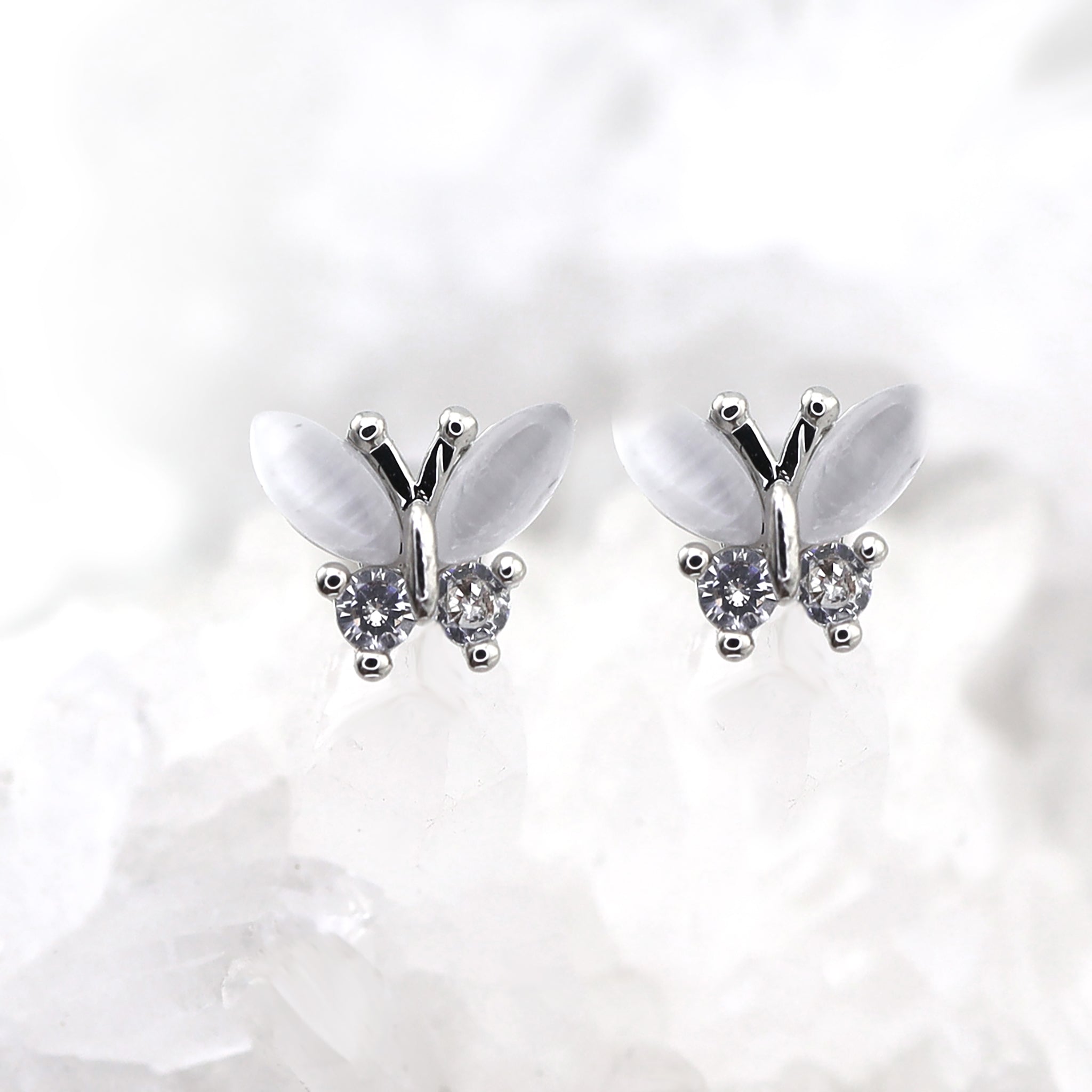 White Elegant CZ Butterfly stainless steel Ear Studs