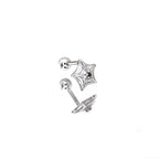 3D Openwork Spider Web CZ tainless steel Ear Studs