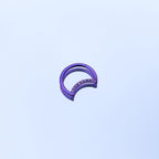 16G Moon CZ Titanium Segment Hoop