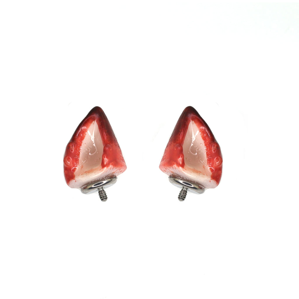 Bunny & Fox Internally Threaded Titanium Helix Couple Earrings