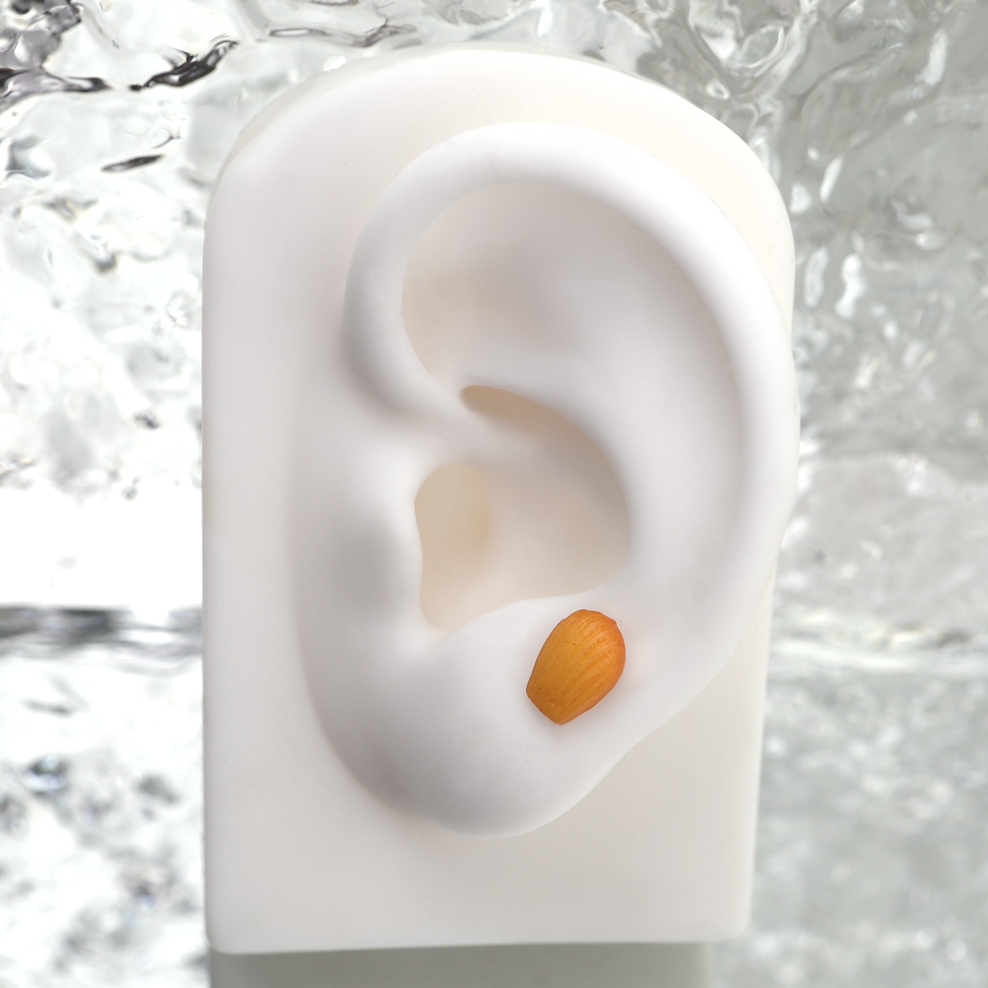 Star Baker - Seashell Pastry stainless steel Internally Threaded Studs