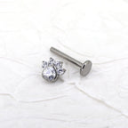 White CZ Cat Paw Titanium Studs