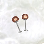 Paws & Purrs - Cute Brown Bear Ear Titanium Ear Stud