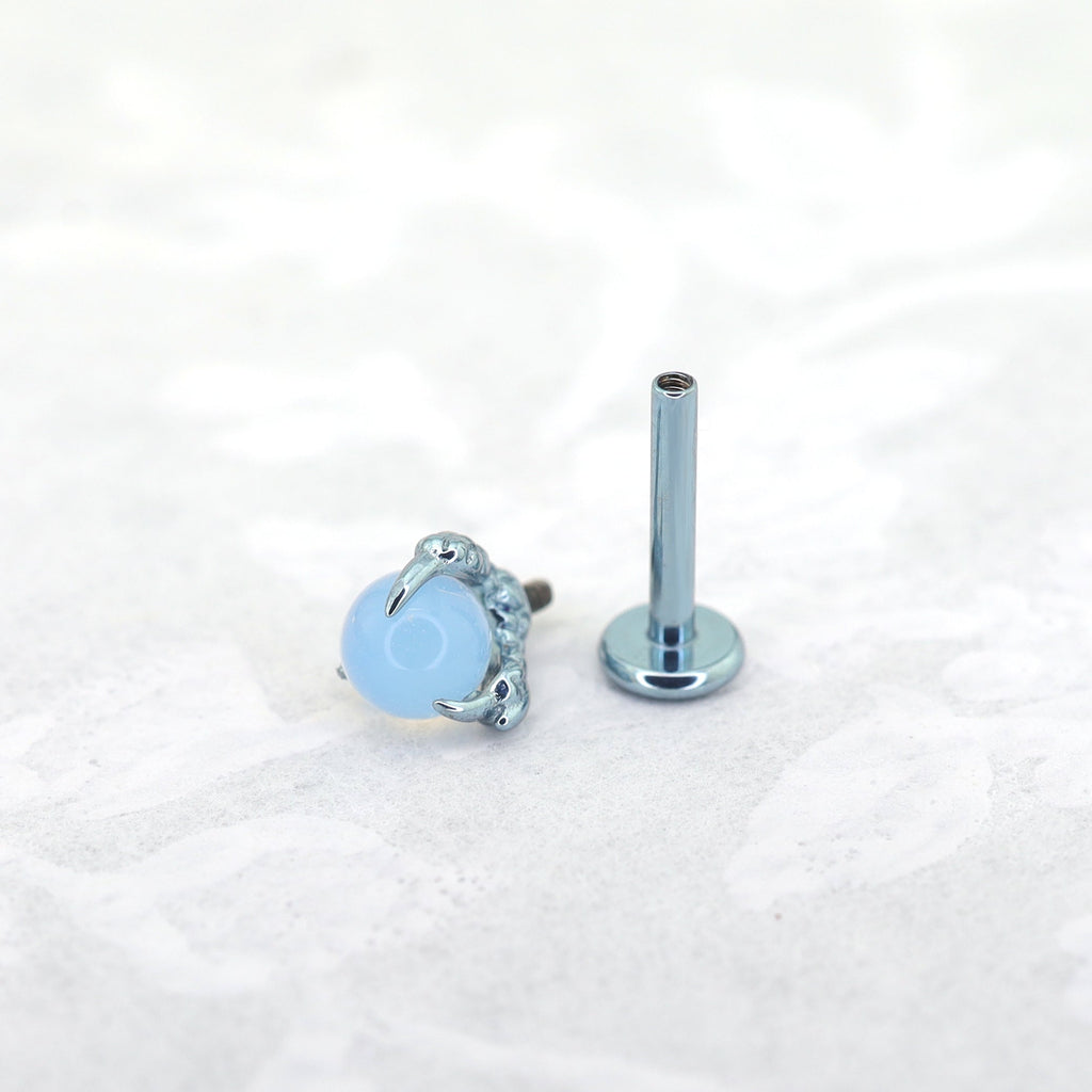 Dragon Claw CZ Internally Threaded Titanium Ear Stud