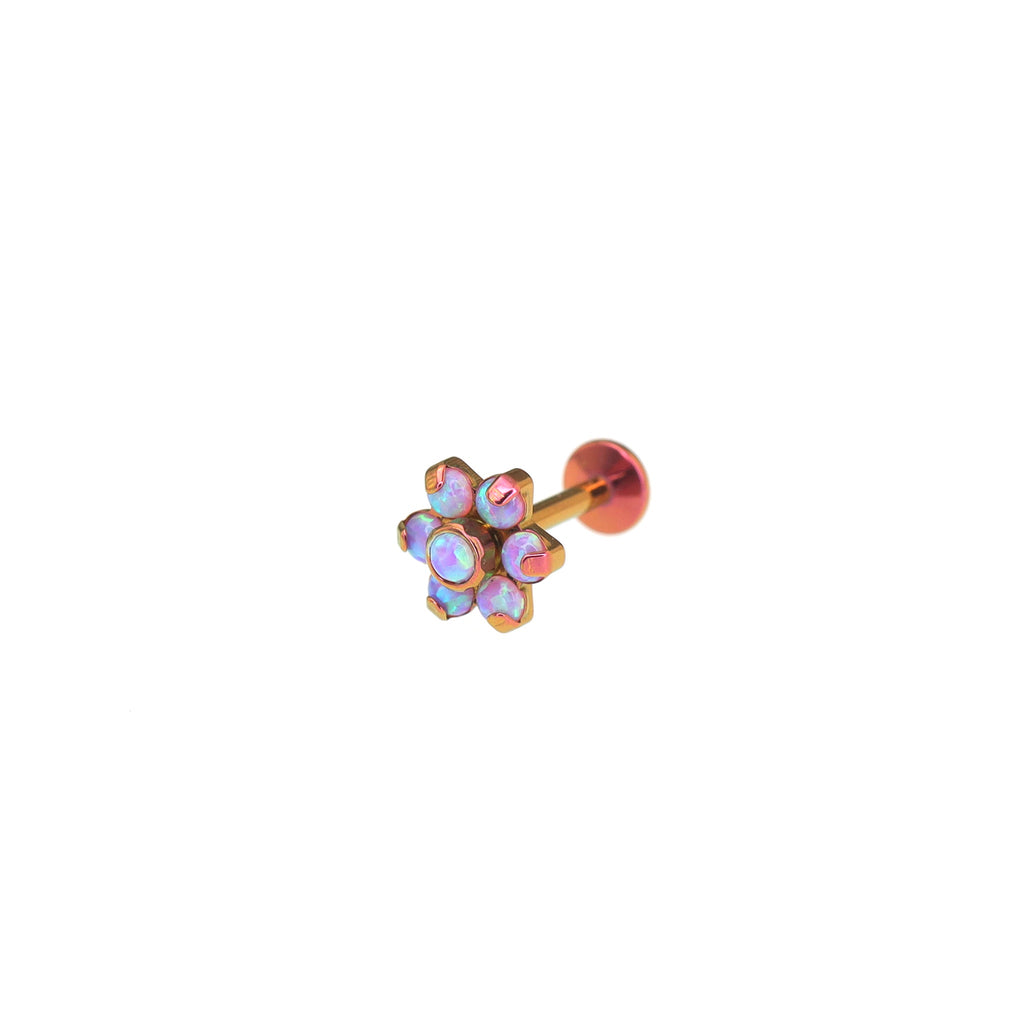 High-Shine Opal Floral Titanium Ear Studs
