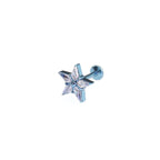Pentagram CZ Titanium Ear Studs
