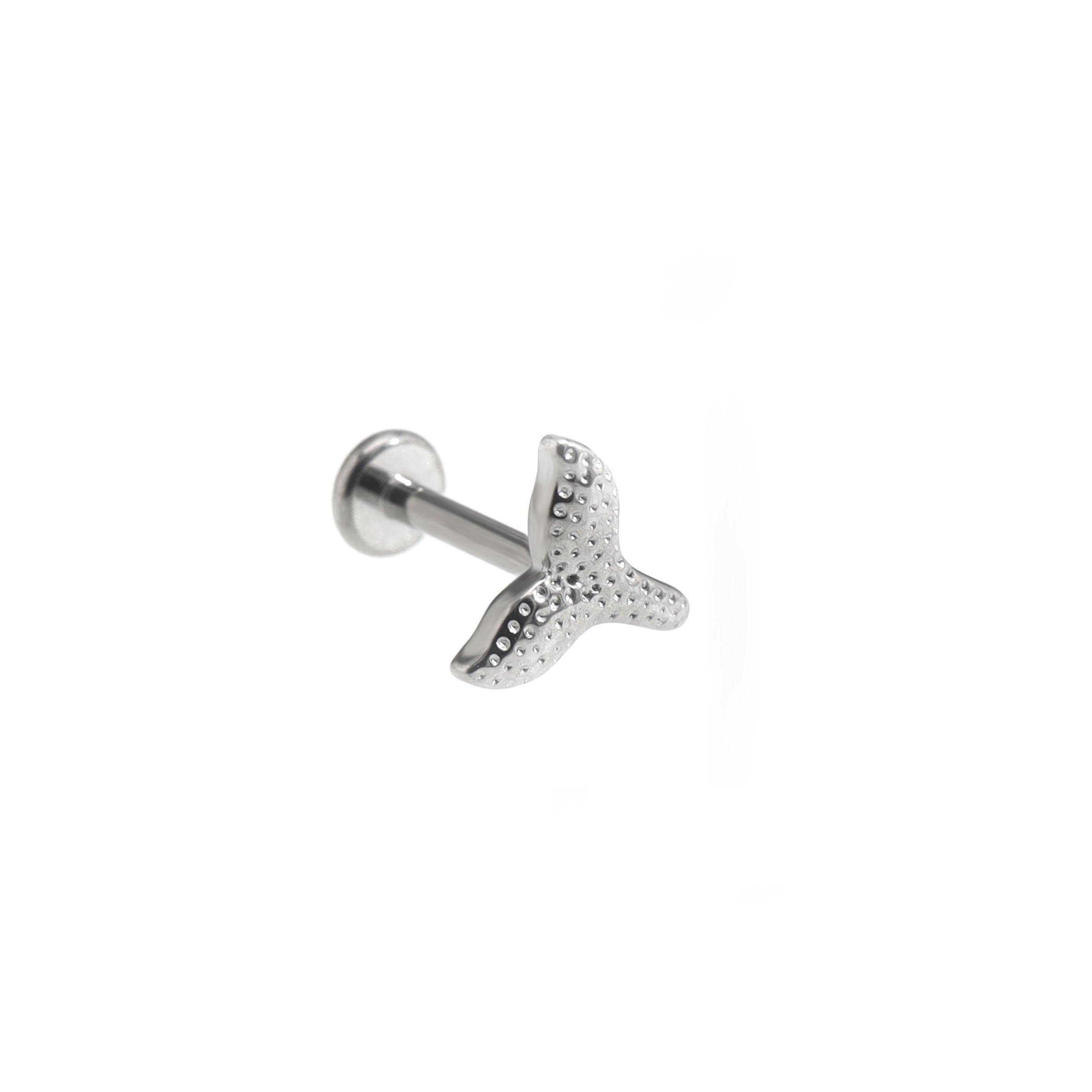 Fishtail Internally Threaded Stainless Steel Ear Studs