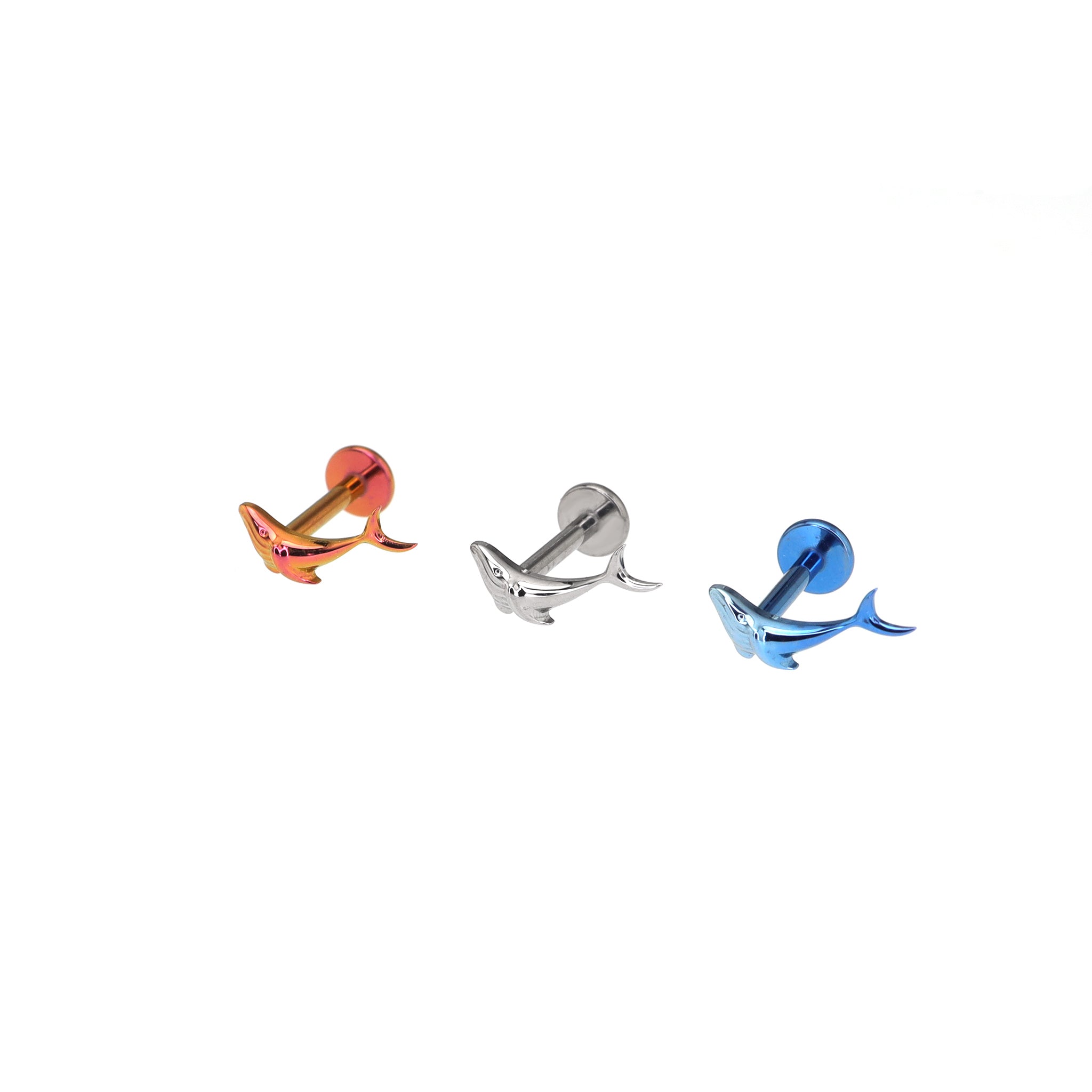 Engraved Whale Internally Threaded Titanium Ear Studs