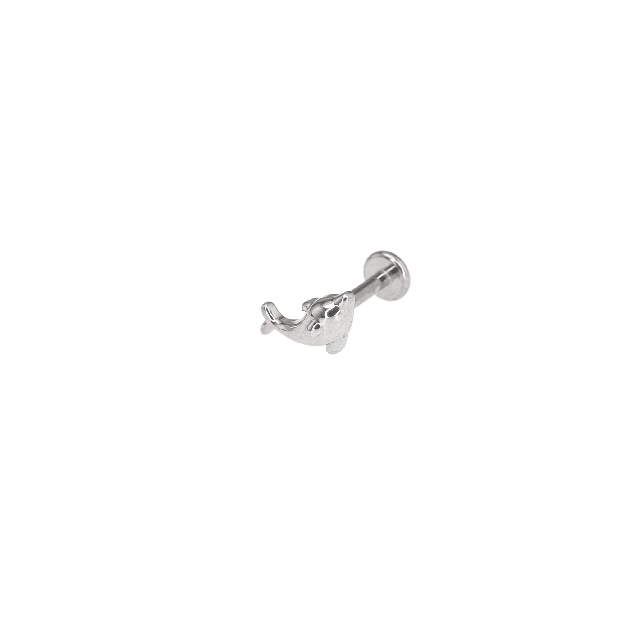 Dolphin Internally Threaded Stainless Steel Ear Studs