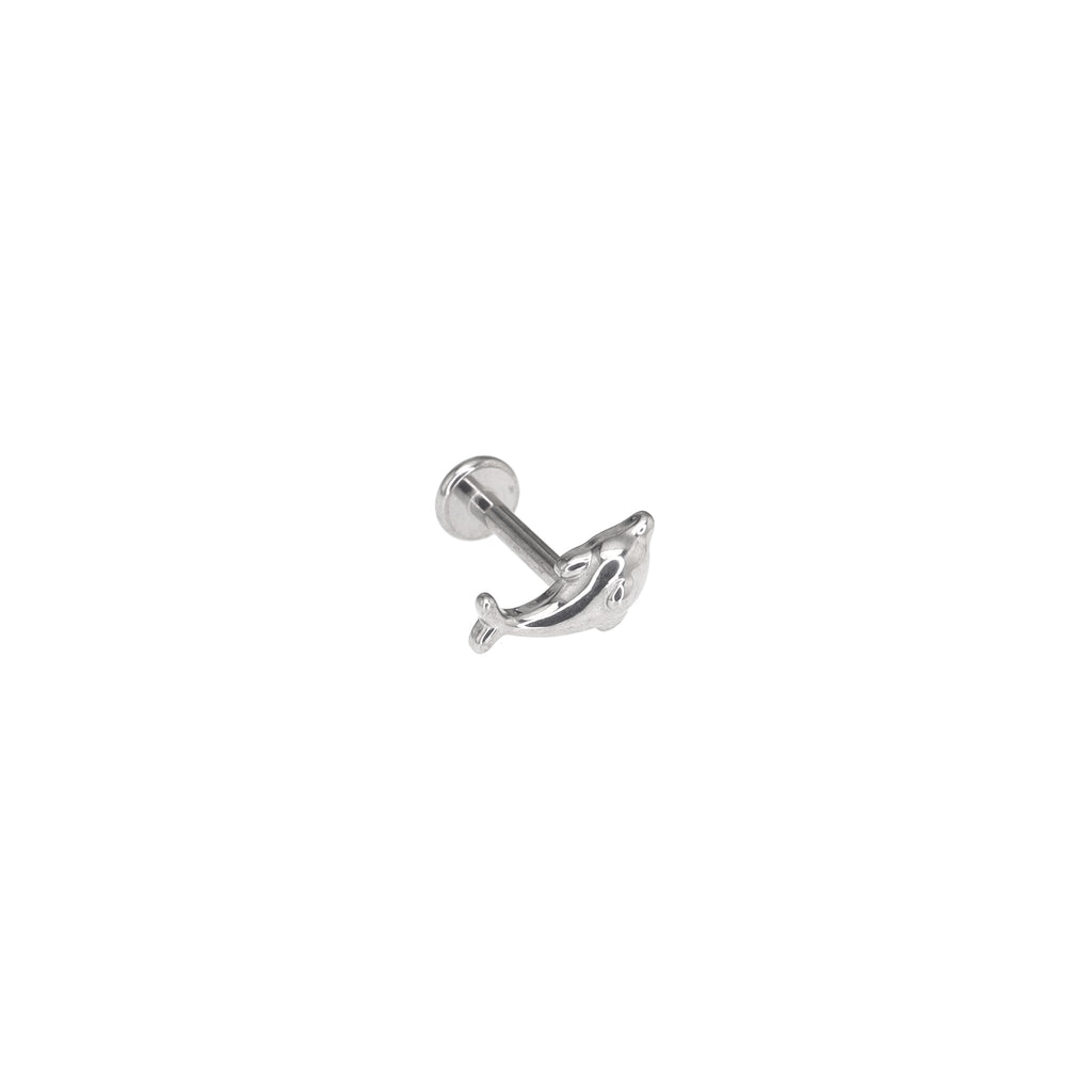 Dolphin Internally Threaded Stainless Steel Ear Studs