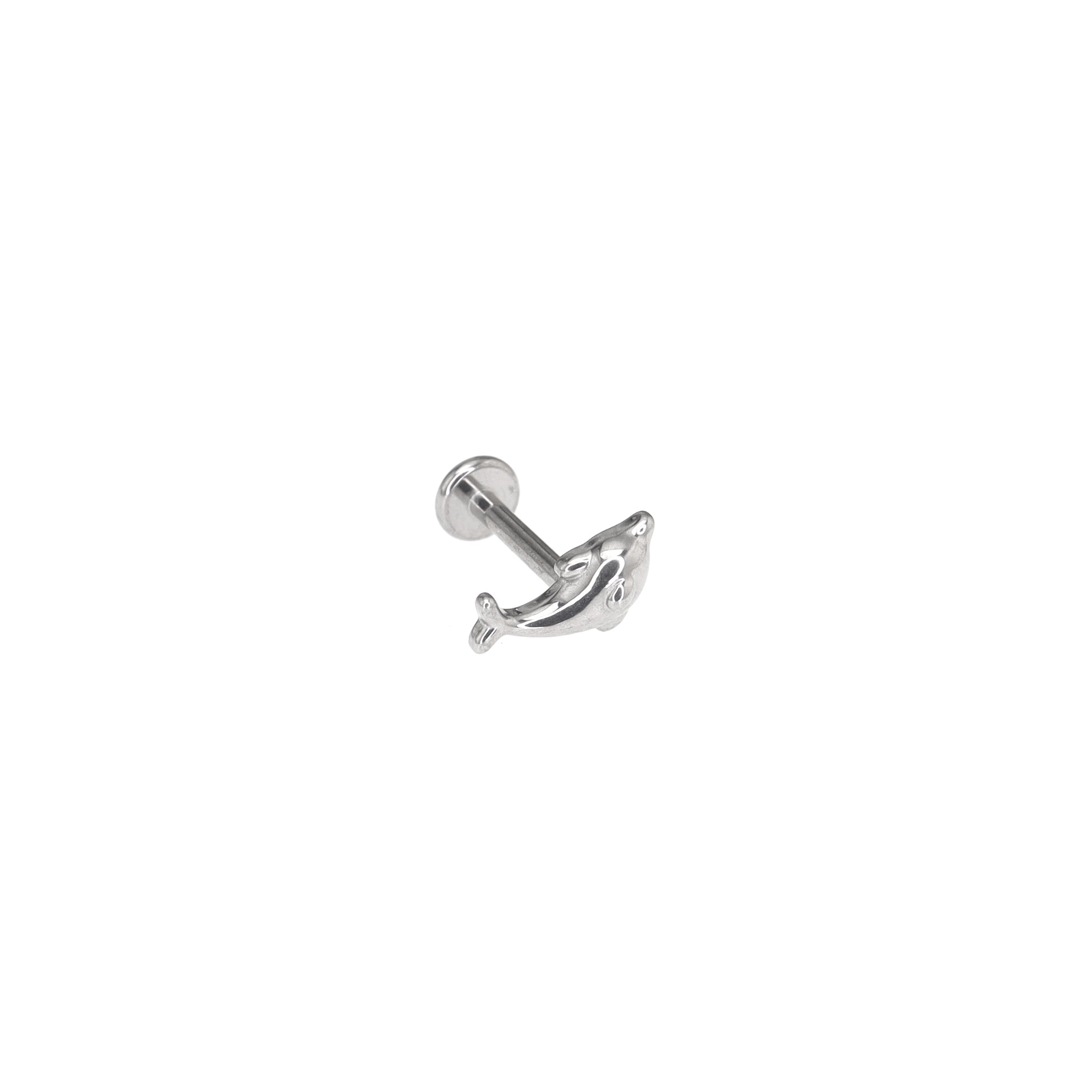 Dolphin Internally Threaded Stainless Steel Ear Studs