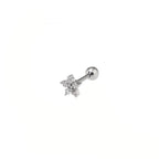 CZ Star External Thread Stainless Steel Ear Stud
