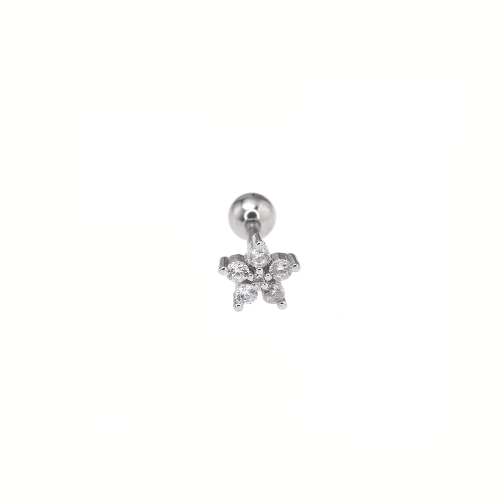 CZ Star External Thread Stainless Steel Ear Stud