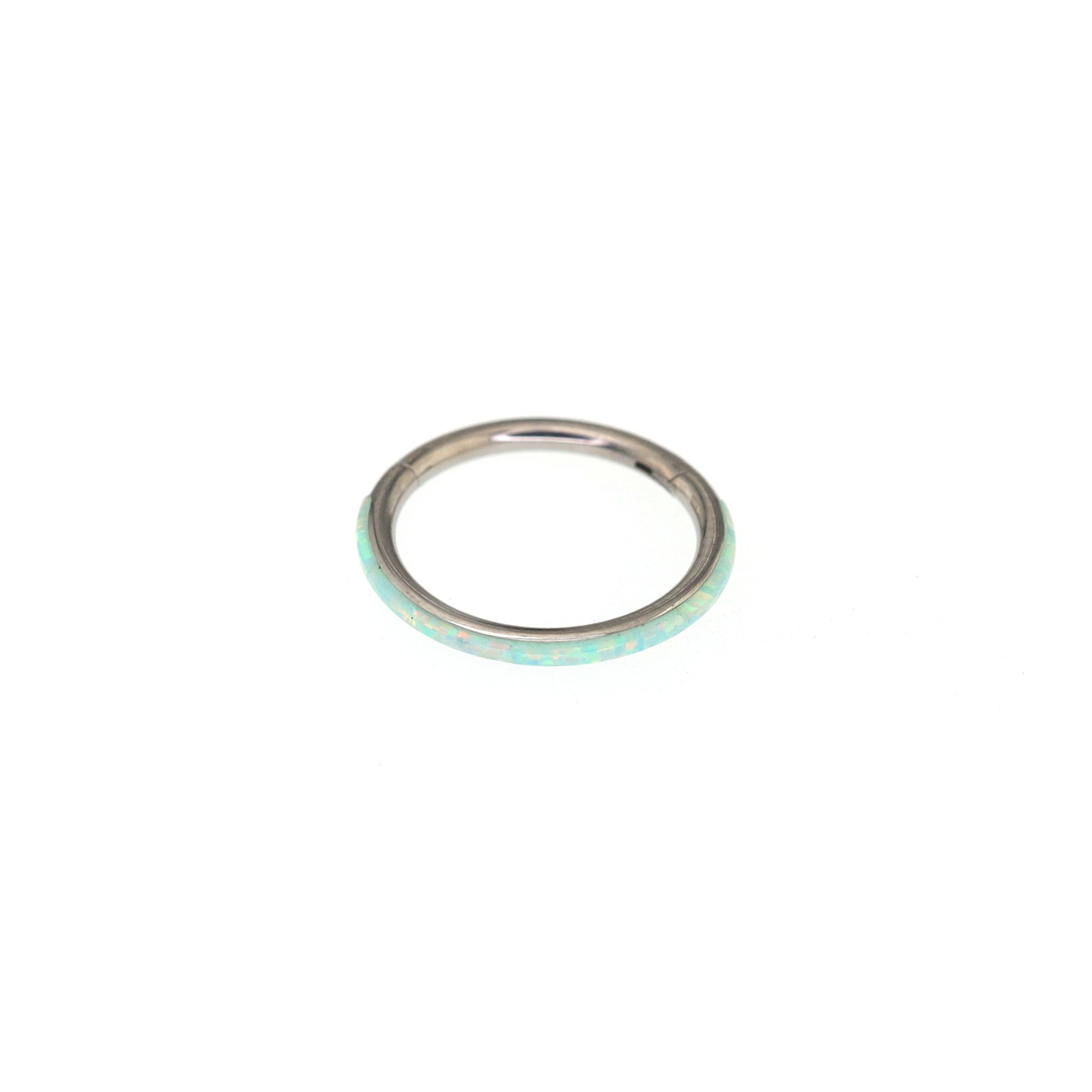 Titanium Opal Segment Ring