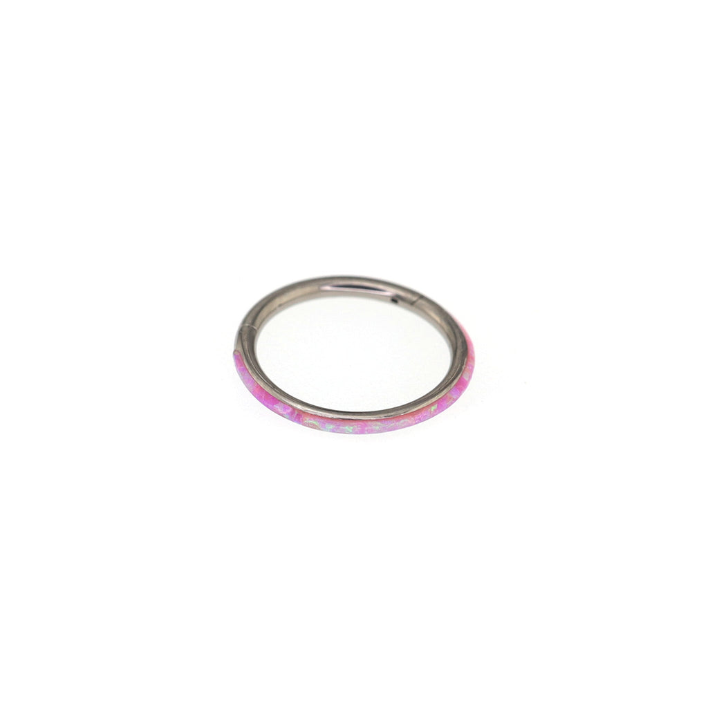 Titanium Opal Segment Ring