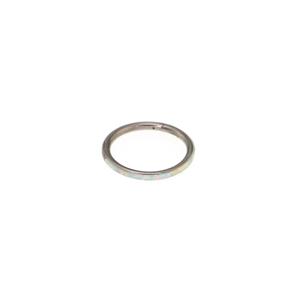 Titanium Opal Segment Ring