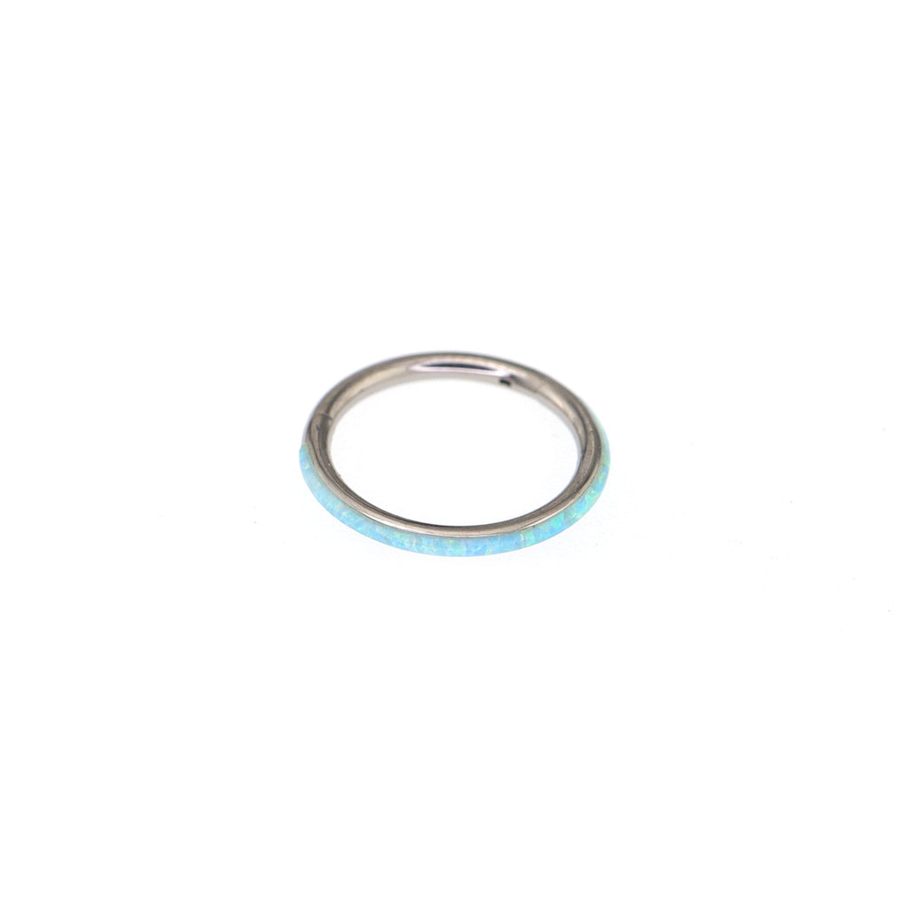 Titanium Opal Segment Ring