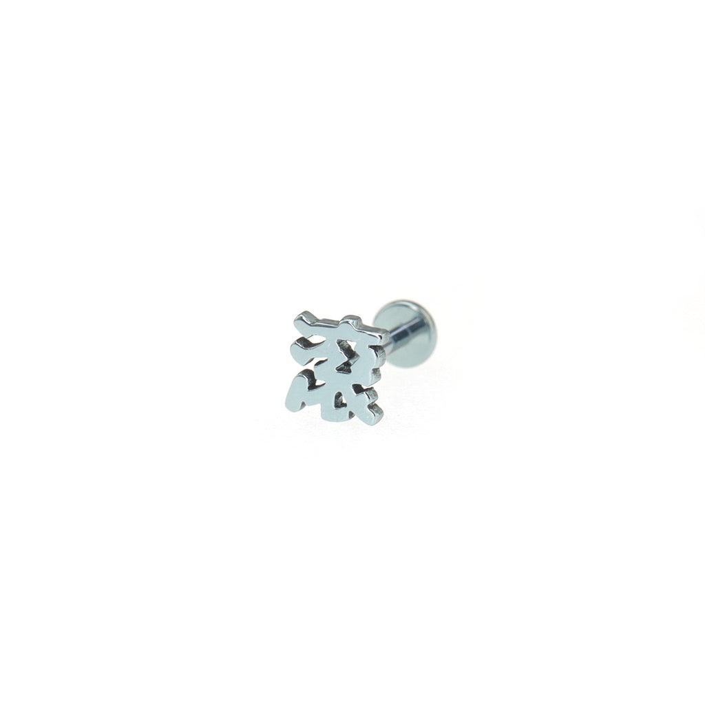 Text Engraved Titanium Ear Studs