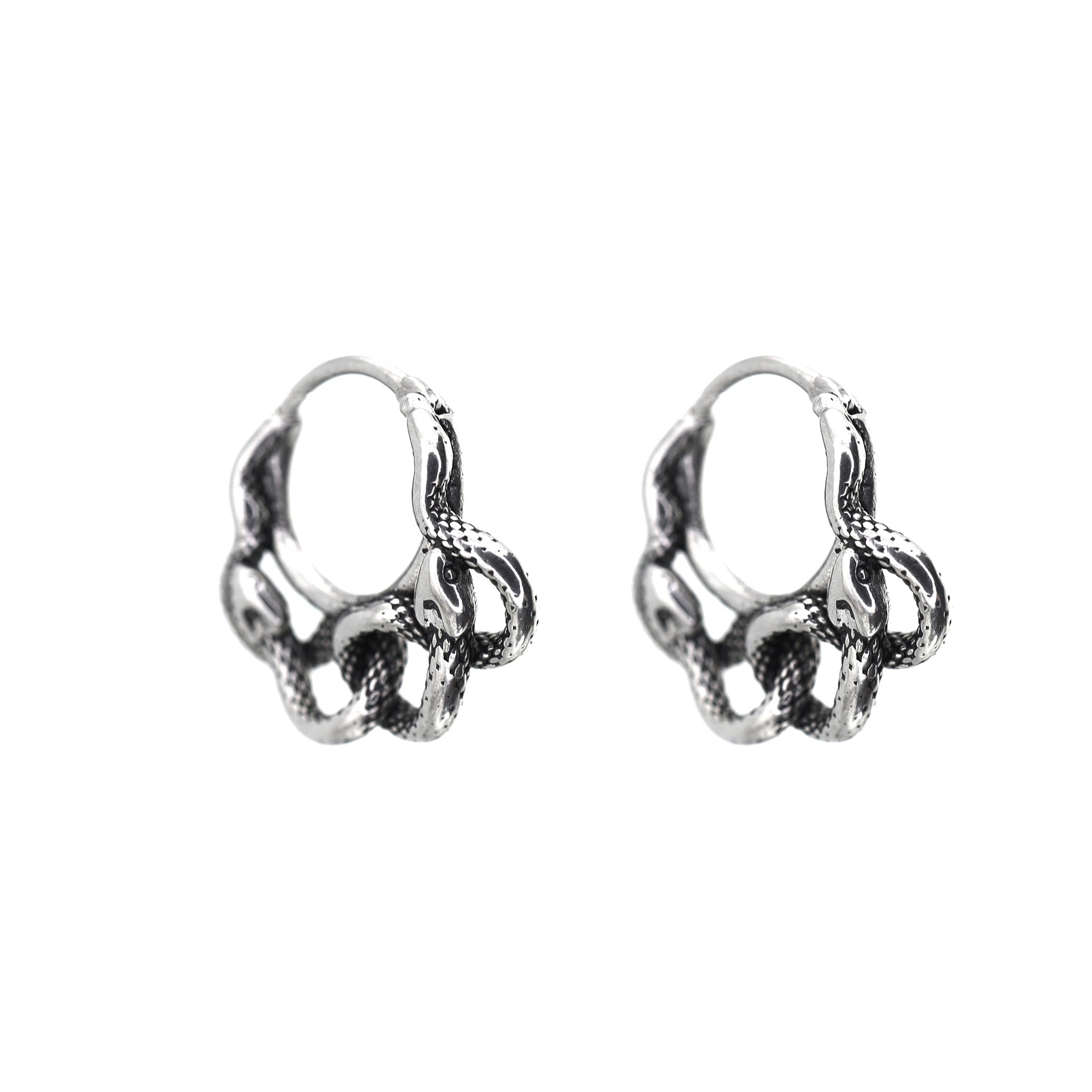 Double Twisted Snake Openwork tainless steel Earrings