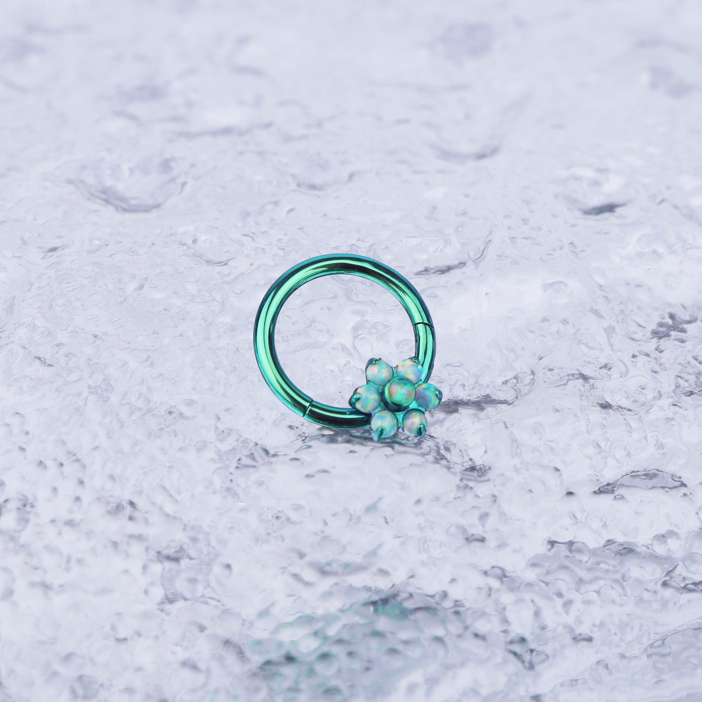 Floral Opal Titanium Segment Hoop