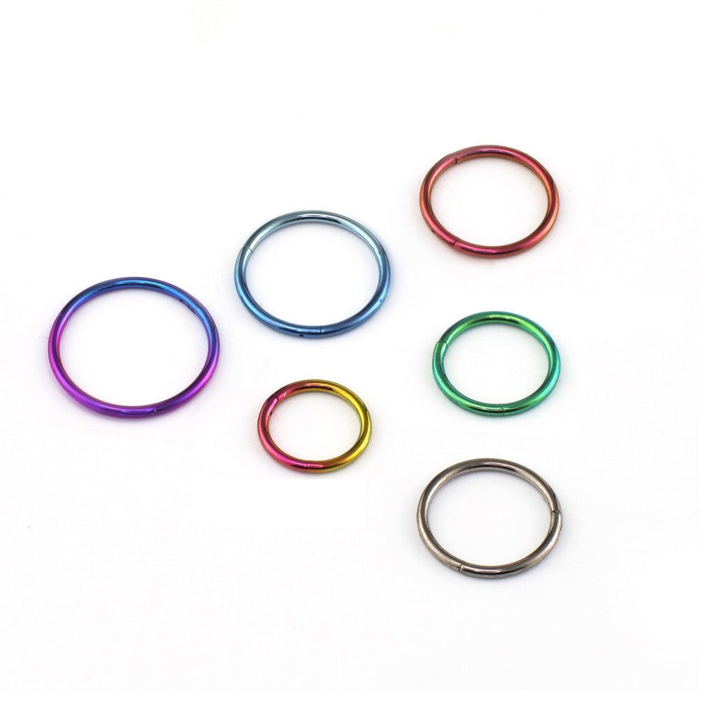 20G Thin Classic Titanium segment Hoop