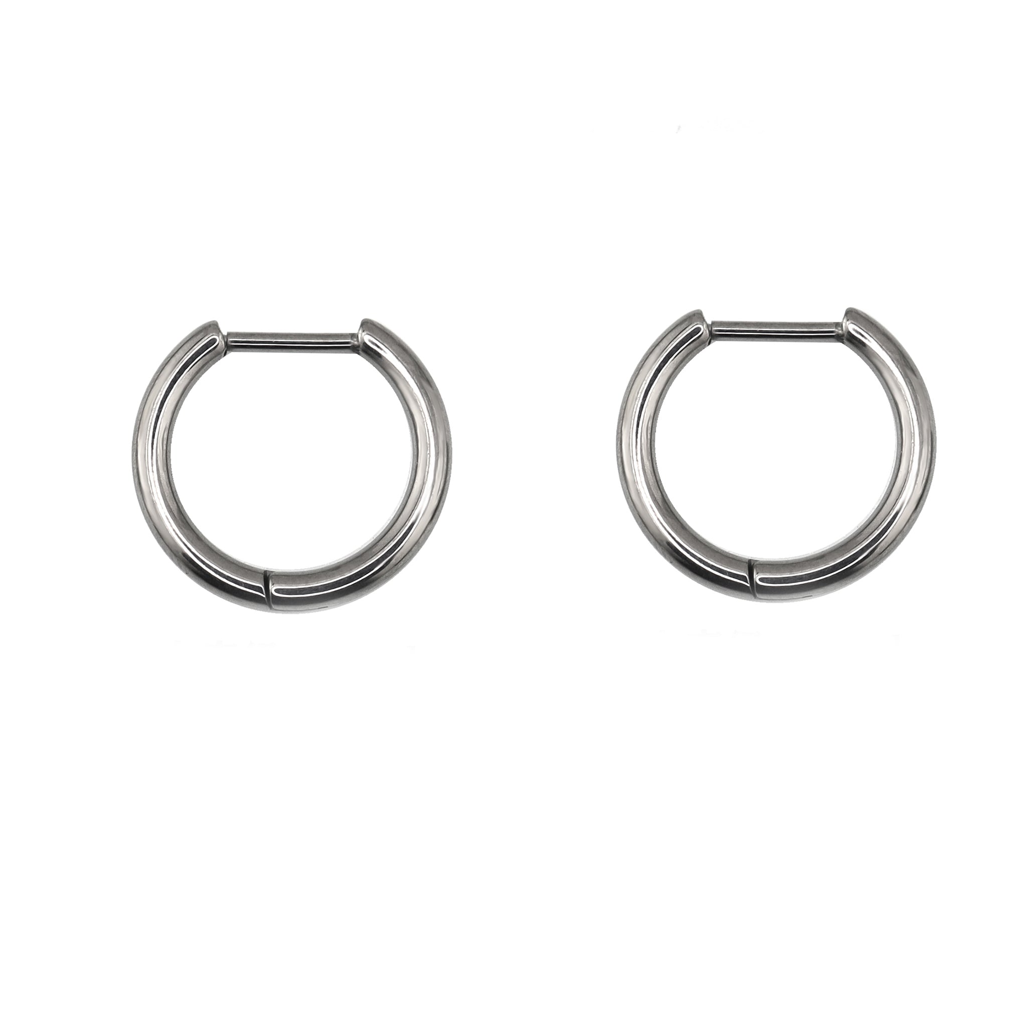 Straight Pin Titanium Segment Hoop